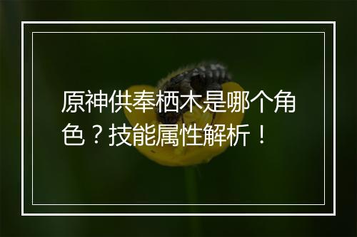 原神供奉栖木是哪个角色？技能属性解析！
