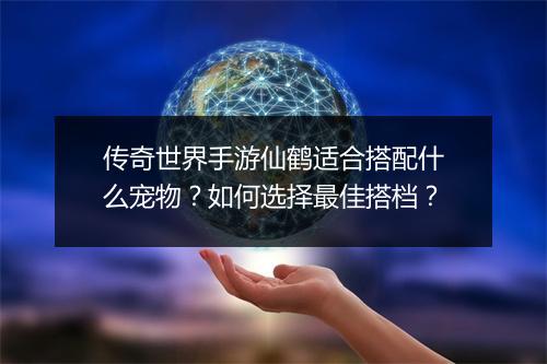 传奇世界手游仙鹤适合搭配什么宠物？如何选择最佳搭档？