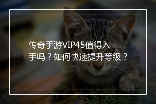 传奇手游VIP45值得入手吗？如何快速提升等级？