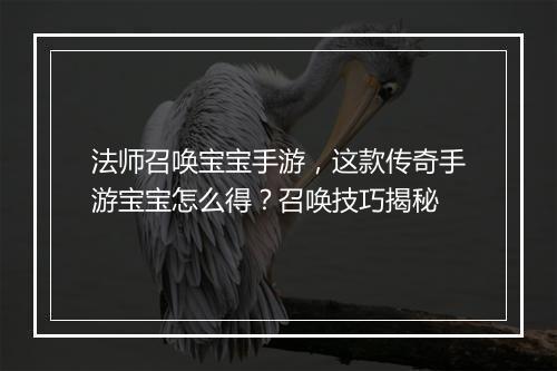 法师召唤宝宝手游，这款传奇手游宝宝怎么得？召唤技巧揭秘