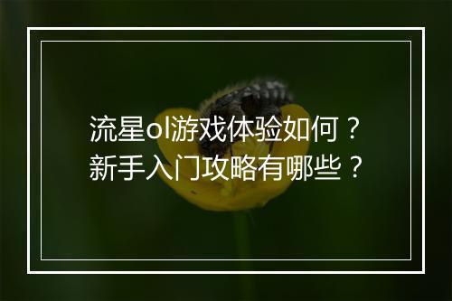 流星ol游戏体验如何？新手入门攻略有哪些？