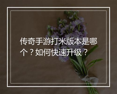 传奇手游打米版本是哪个？如何快速升级？