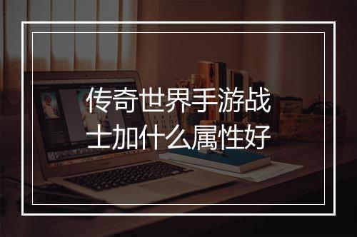 传奇世界手游战士加什么属性好