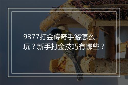 9377打金传奇手游怎么玩？新手打金技巧有哪些？
