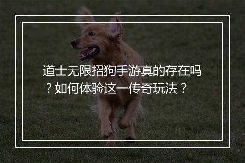 道士无限招狗手游真的存在吗？如何体验这一传奇玩法？