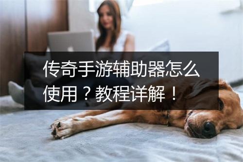 传奇手游辅助器怎么使用？教程详解！