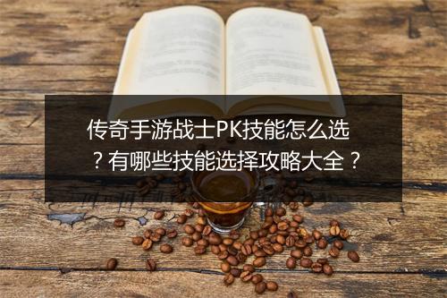 传奇手游战士PK技能怎么选？有哪些技能选择攻略大全？