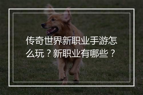 传奇世界新职业手游怎么玩？新职业有哪些？