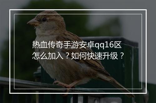 热血传奇手游安卓qq16区怎么加入？如何快速升级？