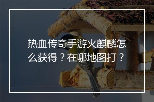 热血传奇手游火麒麟怎么获得？在哪地图打？