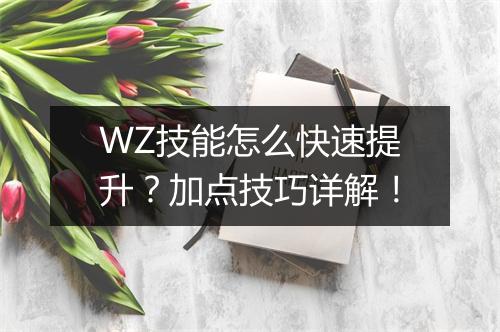 WZ技能怎么快速提升？加点技巧详解！