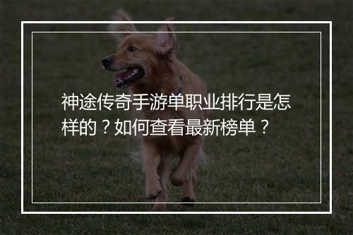 神途传奇手游单职业排行是怎样的？如何查看最新榜单？