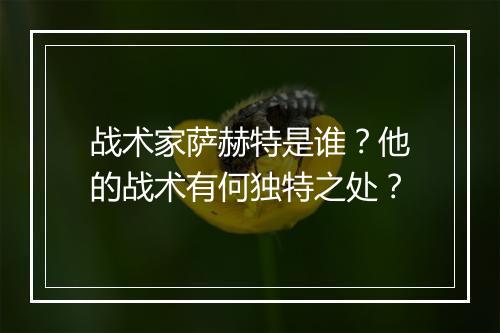 战术家萨赫特是谁？他的战术有何独特之处？