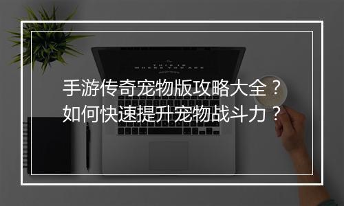 手游传奇宠物版攻略大全？如何快速提升宠物战斗力？