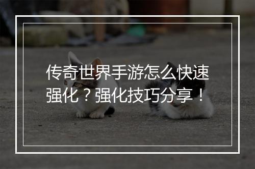 传奇世界手游怎么快速强化？强化技巧分享！