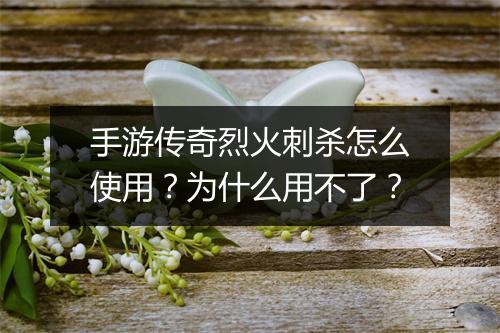 手游传奇烈火刺杀怎么使用？为什么用不了？