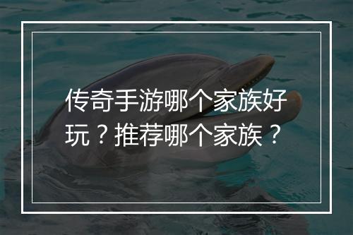 传奇手游哪个家族好玩？推荐哪个家族？