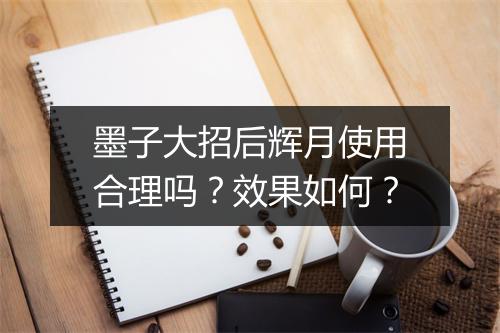 墨子大招后辉月使用合理吗？效果如何？