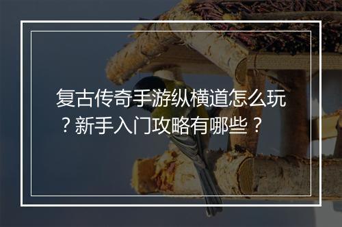 复古传奇手游纵横道怎么玩？新手入门攻略有哪些？