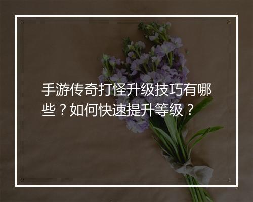 手游传奇打怪升级技巧有哪些？如何快速提升等级？