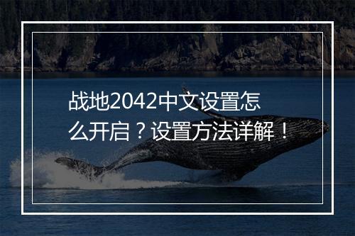 战地2042中文设置怎么开启？设置方法详解！