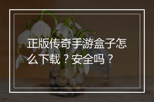 正版传奇手游盒子怎么下载？安全吗？