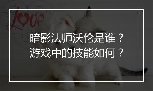 暗影法师沃伦是谁？游戏中的技能如何？