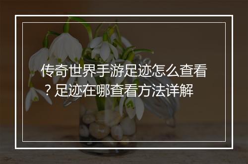 传奇世界手游足迹怎么查看？足迹在哪查看方法详解