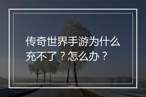 传奇世界手游为什么充不了？怎么办？