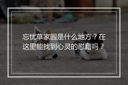 忘忧草家园是什么地方？在这里能找到心灵的慰藉吗？