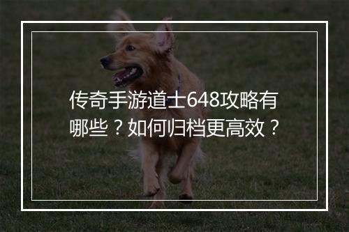 传奇手游道士648攻略有哪些？如何归档更高效？