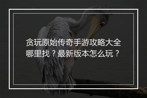 贪玩原始传奇手游攻略大全哪里找？最新版本怎么玩？
