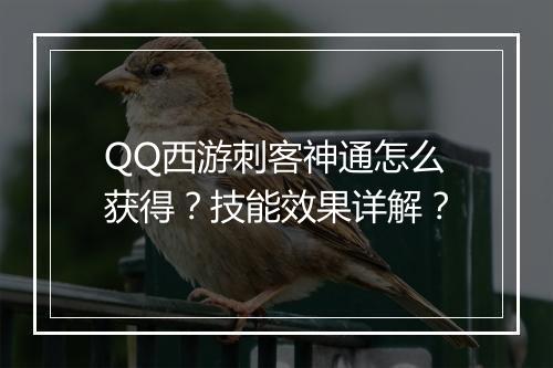 QQ西游刺客神通怎么获得？技能效果详解？