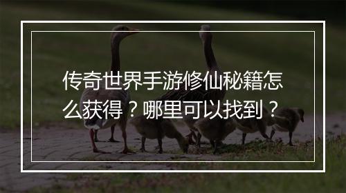 传奇世界手游修仙秘籍怎么获得？哪里可以找到？