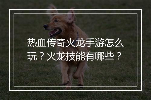 热血传奇火龙手游怎么玩？火龙技能有哪些？