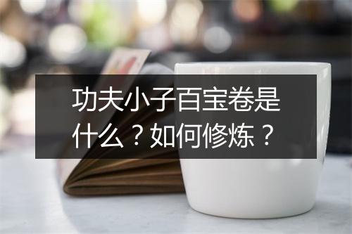 功夫小子百宝卷是什么？如何修炼？