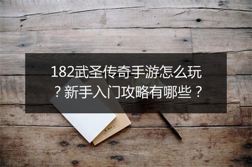 182武圣传奇手游怎么玩？新手入门攻略有哪些？