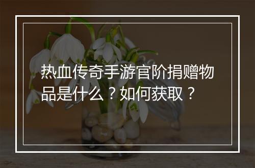 热血传奇手游官阶捐赠物品是什么？如何获取？