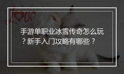 手游单职业冰雪传奇怎么玩？新手入门攻略有哪些？