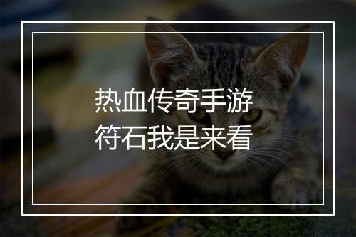 热血传奇手游 符石我是来看