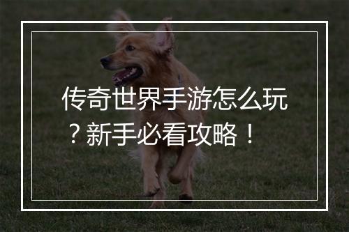 传奇世界手游怎么玩？新手必看攻略！