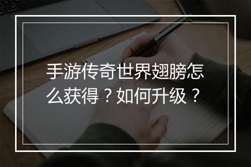 手游传奇世界翅膀怎么获得？如何升级？