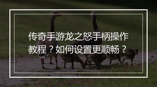 传奇手游龙之怒手柄操作教程？如何设置更顺畅？