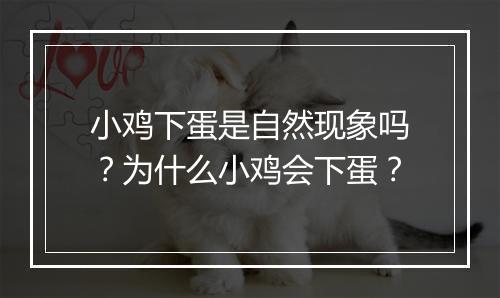 小鸡下蛋是自然现象吗？为什么小鸡会下蛋？