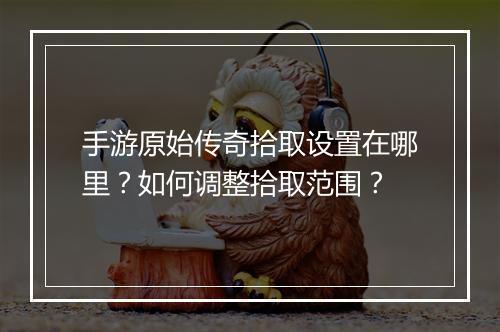 手游原始传奇拾取设置在哪里？如何调整拾取范围？