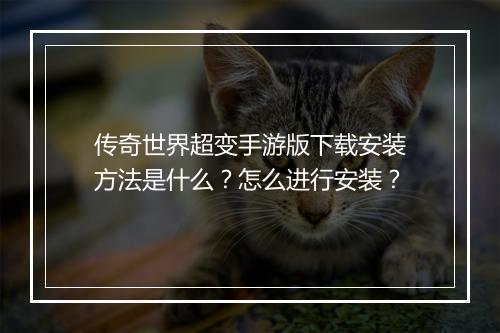 传奇世界超变手游版下载安装方法是什么？怎么进行安装？