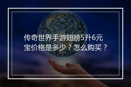 传奇世界手游翅膀5升6元宝价格是多少？怎么购买？