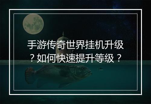 手游传奇世界挂机升级？如何快速提升等级？