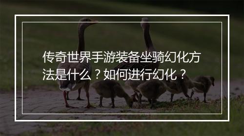传奇世界手游装备坐骑幻化方法是什么?如何进行幻化?