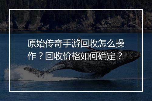 原始传奇手游回收怎么操作？回收价格如何确定？